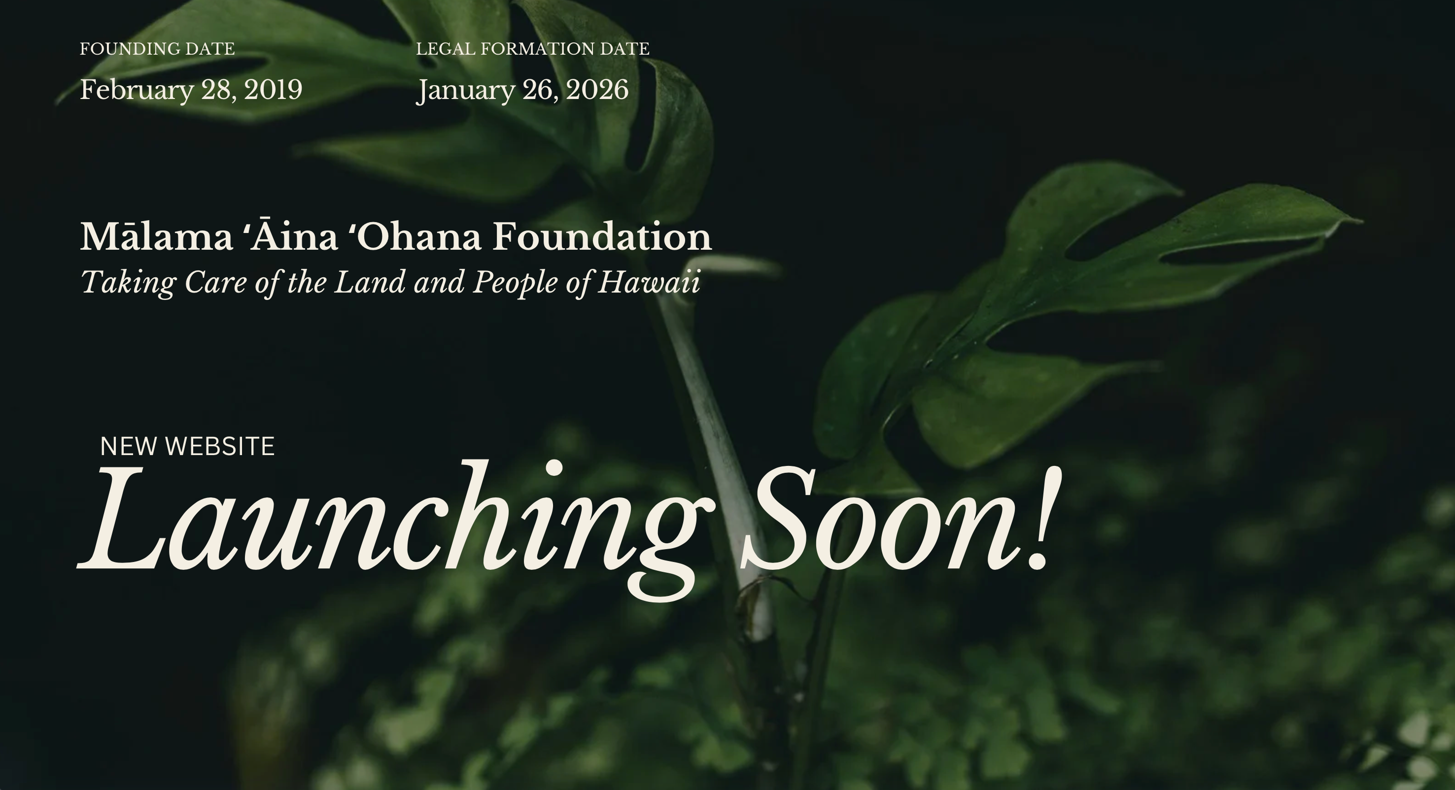 Mālama ʻĀina ʻOhana website announcement